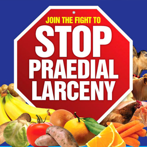 Praedial Larceny